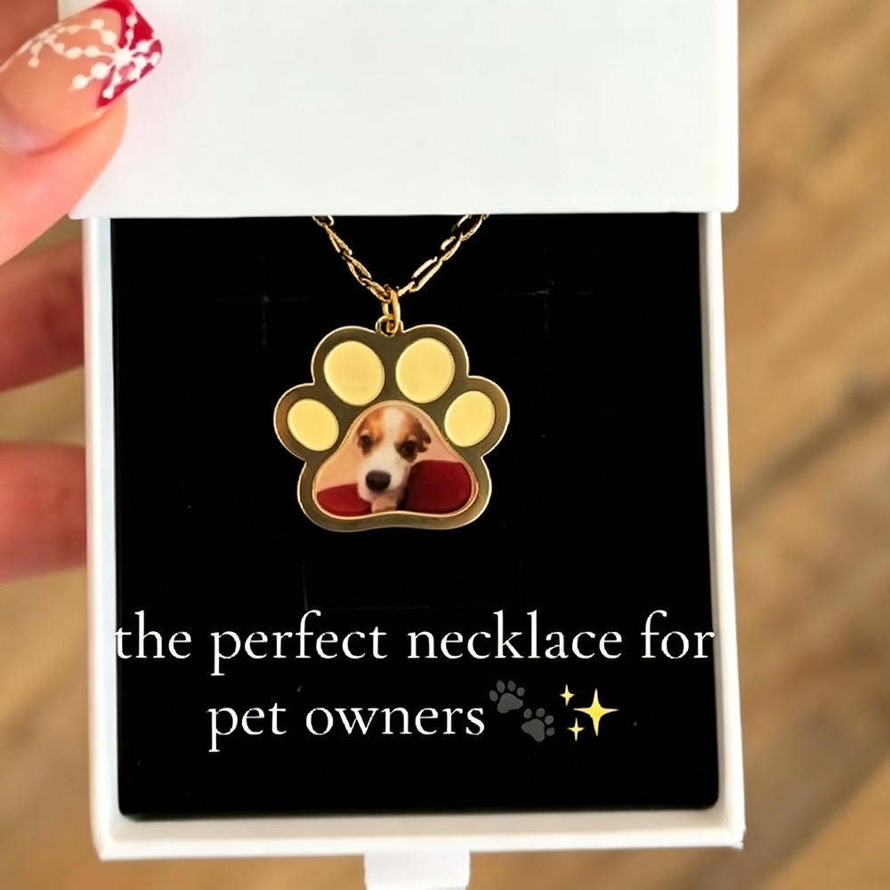 Personalized Pet Paw Colors Pr - Cat Claw Bark review and price