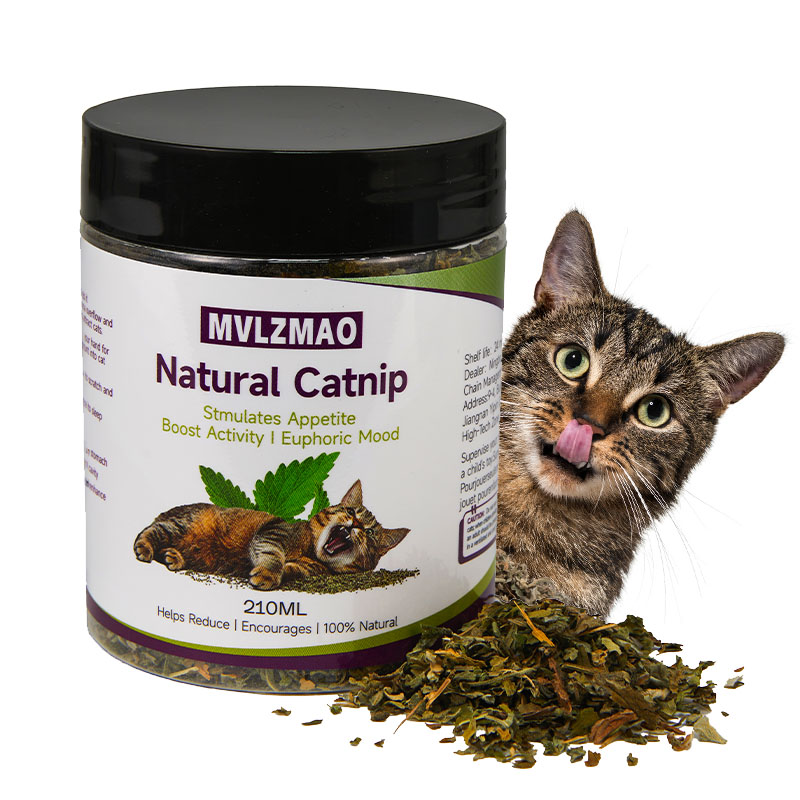 Cat Toys - Silvervine Catnip f - Herbal Wellness Blend review and price