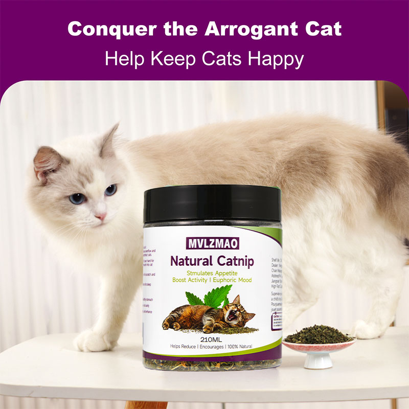 Cat Toys - Silvervine Catnip f - Herbal Wellness Blend review and price