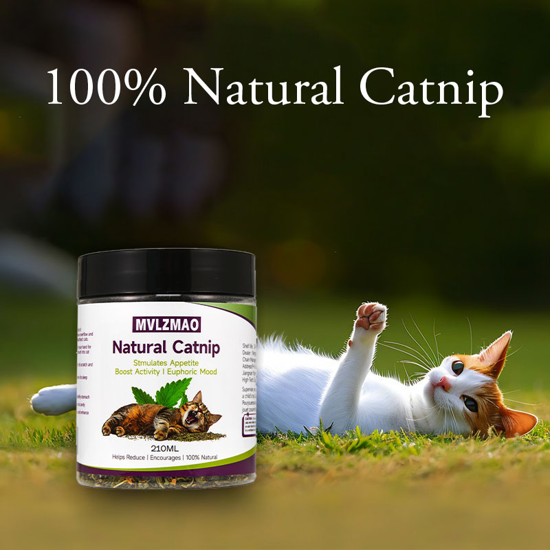 Cat Toys - Silvervine Catnip f - Herbal Wellness Blend review and price