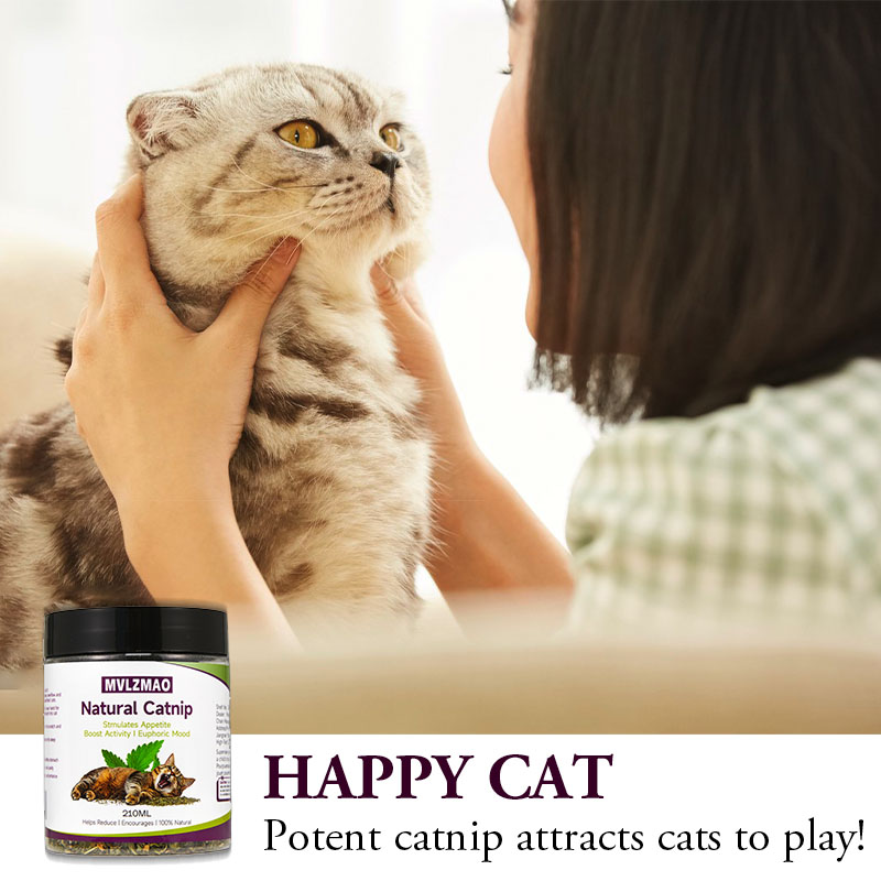 Cat Toys - Silvervine Catnip f - Herbal Wellness Blend review and price